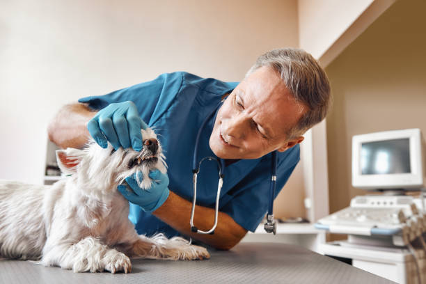Best Pediatric Emergency Dentist in Colonia, NJ